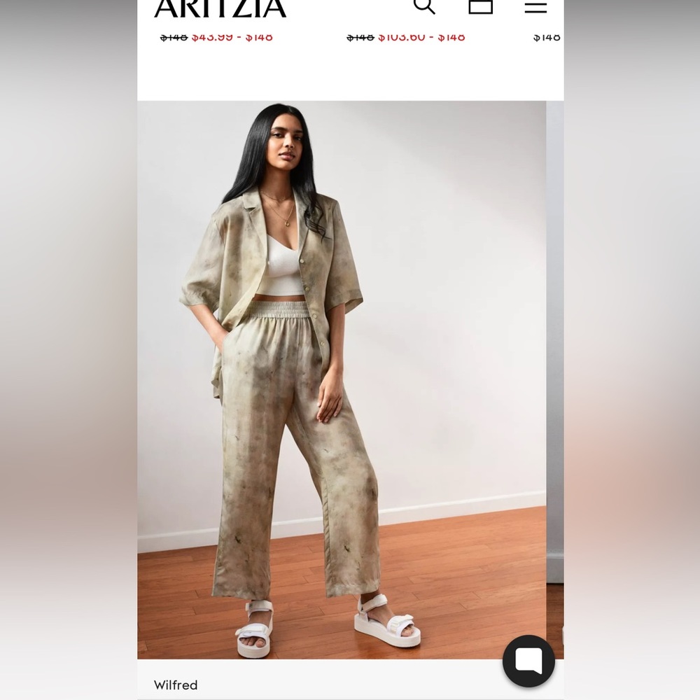 Aritzia Silk Pants